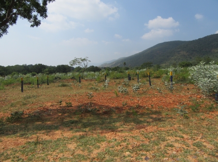 4) TUDA Approved Layout Near Tirupati.JPG